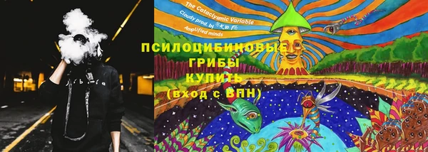 спайс Верея