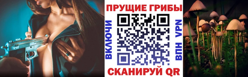 Галлюциногенные грибы Psilocybine cubensis  Гороховец 